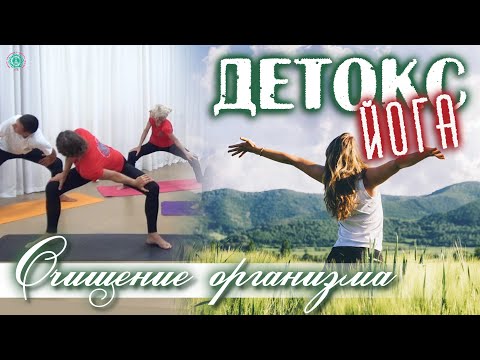Видео: ДЕТОКС ЙОГА: Очищение организма | Работаем с ЖКТ и Боковыми Мышцами Спины | Скрутки