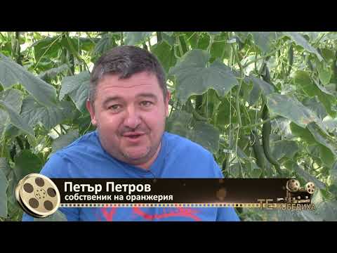 Видео: Те Победиха: Семейство Петрови  - технологиите и успехът  в малката семейна оранжерия