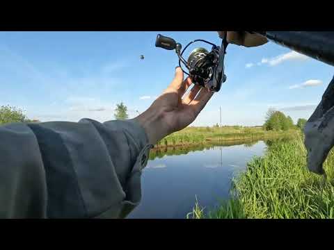 Видео: КАКОЙ ТО РЫБАК ЗА МНОЙ УВЯЗАЛСЯ НЕОЖИДАННЫЙ РЕЗУЛЬТАТ. РЫБАЛКА НА РЕЧКЕ ТАЛИЦА