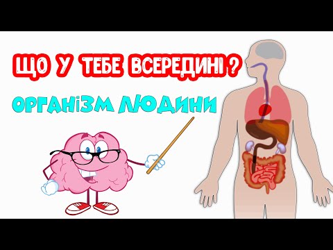 Видео: Організм ЛЮДИНИ. Що у тебе всередині?