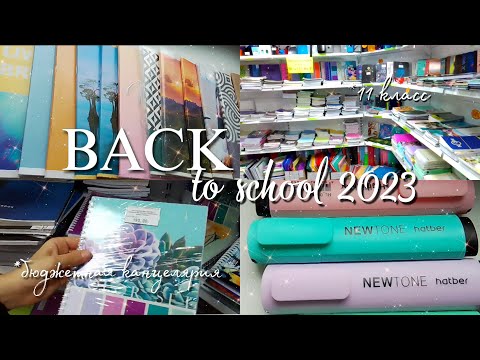 Видео: 🔥BACK TO SCHOOL 2023 | покупки канцелярии к школе | бэк ту скул