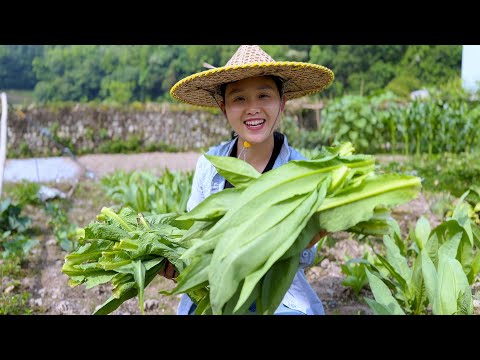 Видео: Горький кунжут, корм для кур и гусей, приготовленный в горшочке, просто и вкусно