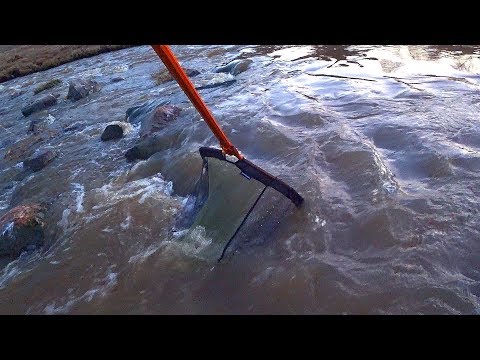 Видео: ВЕСЕНЯЯ РЫБАЛКА 100кг за час ! Вот это улов !!!