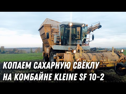 Видео: Уборка сахарной свёклы на комбайне Kleine SF 10-2. 