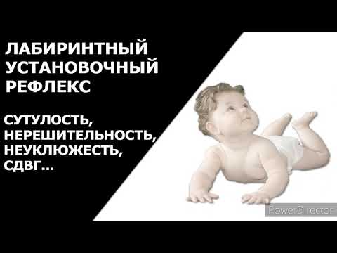 Видео: Лабиринтный установочный рефлекс (Рефлекс Ландау)