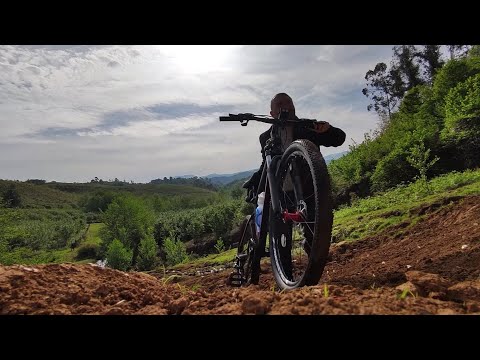 Видео: Грузия / Гурия / Озургети / село Земо Макванети / Такого не ожидал