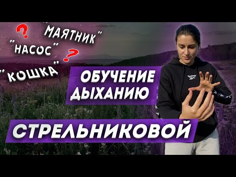 Видео: Дыхательная гимнастика СТРЕЛЬНИКОВОЙ