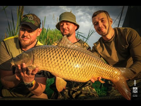 Видео: 🏆Турнір "IRON FISH" 3 Этап, водойма "Прилбичи"  1 частина | Телеканал #Трофей