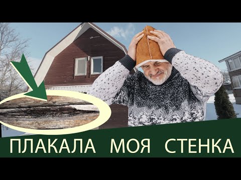 Видео: Вода брёвна точит!
