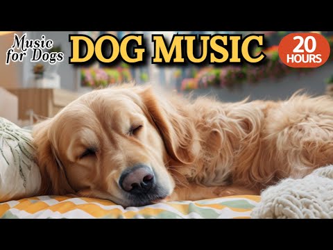Видео: 24 часа успока-ивающей музыки для собак🐶💖Звуки для нервных собак🦮🎵Уменьшает лай