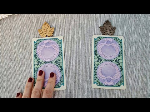 Видео: 💌💬🌿Какво иска да ти каже - с една карта?🌿💬💌