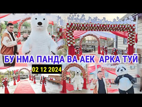 Видео: БУ НИМА ПАНДА ВА АЙИК АРКА ТУЙ МАРОСИМЛАРИ УЧУН БИЛГАН БИЛАДИ БИЛМАГАН УЗИ БИЛАДИ.