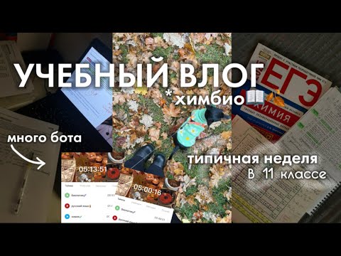 Видео: УЧЕБНЫЙ ВЛОГ химбио🩺📑🍂//подготовка к ЕГЭ, мотивация и обычные будни