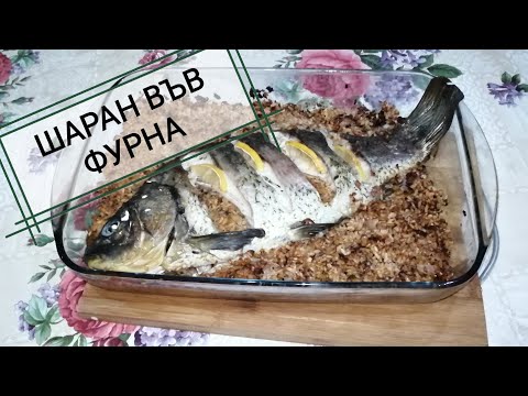 Видео: ШАРАН ВЪВ ФУРНА