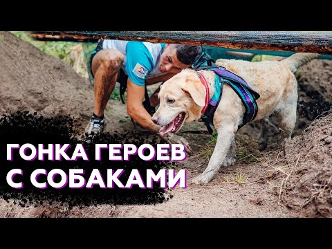 Видео: Пройти с собакой через ПОЛОСУ ПРЕПЯТСТВИЙ | Как создавалась и как прошла гонка Дикий Замес