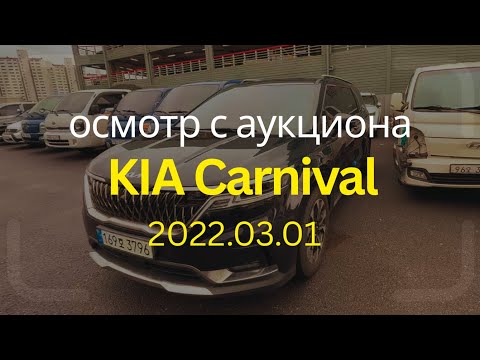 Видео: Осмотр проходного KIA Carnival с аукциона Кореи #автоизкореи #проходныеавто  #кореябезпосредников
