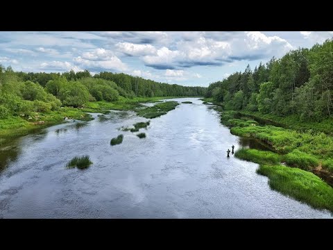 Видео: Большое РЫБОЛОВНОЕ приключение  по рекам Ленинградской области. Рыбалка на Луге. Рыбалка на Плюссе.