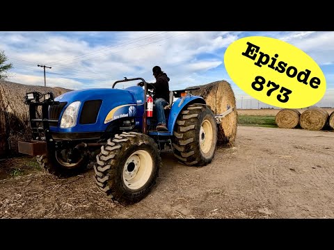 Видео: Подготовка к отъезду с ранчо на несколько дней