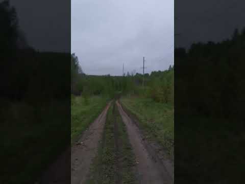 Видео: Можно ли оставить лес на землях сельхозназначения. Из личного опыта.