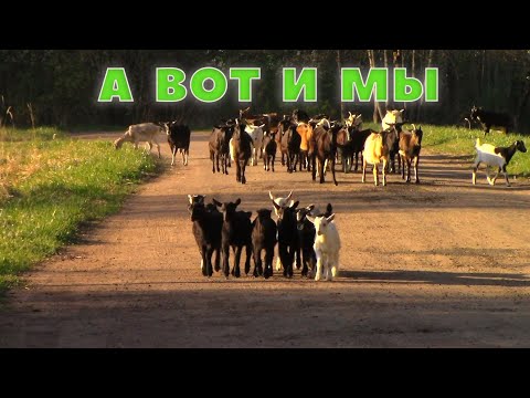 Видео: И снова мы!