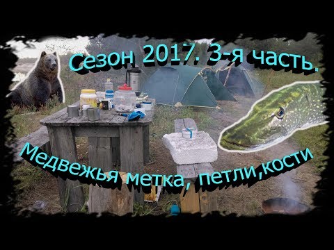 Видео: 4 месяца в тайге. ч. 3. Рыбалка, Медвежья метка, петли, кости медведя, шланг ТГА)).