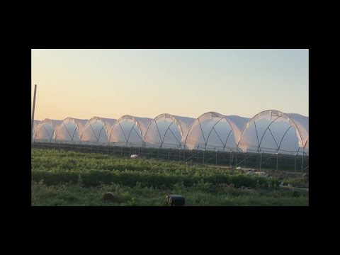 Видео: Процесс изготовления  теплицы - клубничника