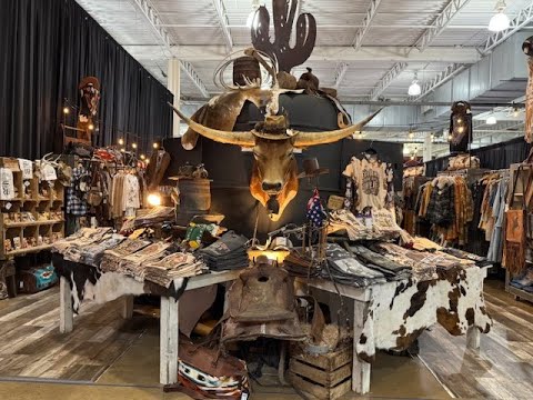 Видео: 🔴Трейлеры, щенки, гольф-кары, ковбойские сапоги и шляпы🔴 и еще много чего на Quarter Horse Congress!