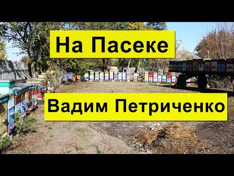 Видео: На Пасеке больше 200 семей Карника✅ Вадим Петриченко Хорольский р-н