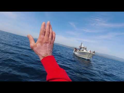 Видео: Рыбалка на камбалу , Находка  Японское море 19.09.2021.