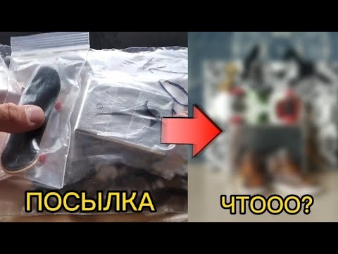 Видео: ФБ ПОСЫЛКА? |Новый фингерборд, фингер кросовки?
