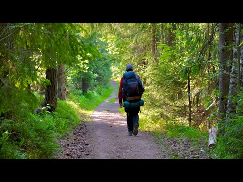 Видео: Поход в окружении природы / тропа Хо Ши Мина озеро Ястребиное
