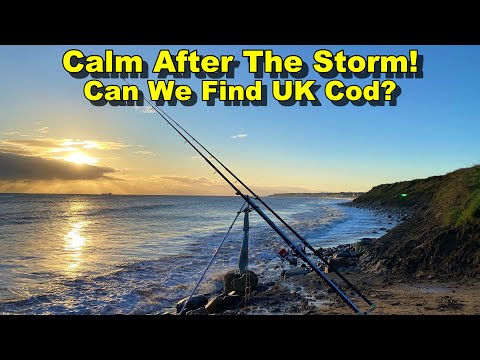 Видео: Ловля трески после штормового нагона! Северо-восточное побережье!