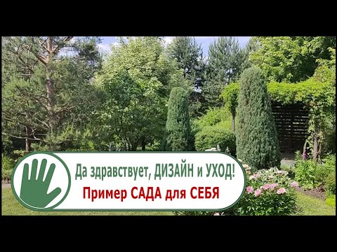 Видео: Видео журнал "СОФ №102"  Да здравствует, ДИЗАЙН и УХОД!  Пример САДА для СЕБЯ
