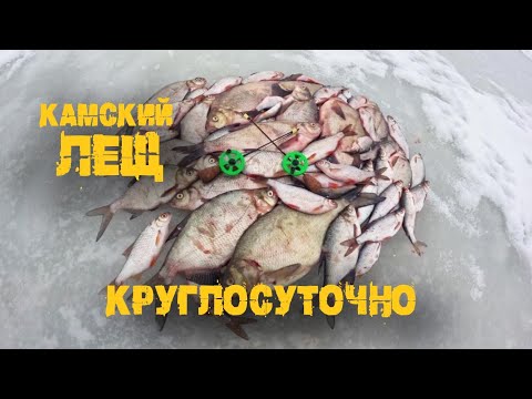 Видео: Ночной лещ зимой.  Рыбалка нонстоп, с комфортом на льду, р.Кама