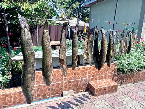 Видео: Чистка змееголова на филе  Быстро