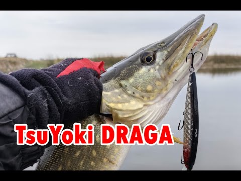 Видео: ЕСЛИ ЩУКА МОЛЧИТ, СТАВЬ TsuYoki DRAGA. РЫБАЛКА В КОНЦЕ НОЯБРЯ
