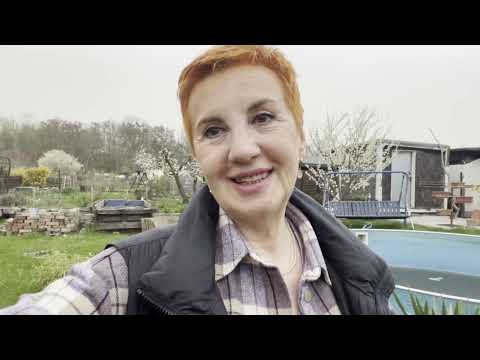 Видео: Как выглядят дачи в Германии