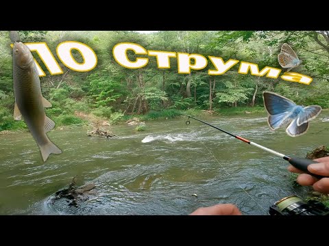 Видео: За кефали по р.Струма 1 юни 2025