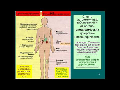 Видео: Дубынин В. А. - Физиология иммунитета - 6. Аутоиммунитет и онкология