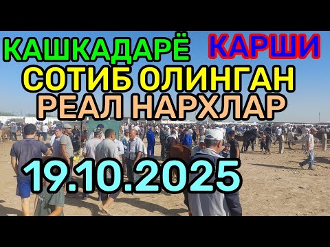 Видео: 19.10.2025 СОТИБ ОЛИНГАН РЕАЛ НАРХЛАР КАРШИ КАРВОН МОЛ БОЗОРИДА 