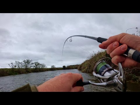 Видео: Ловля лосося и морской форели спиннингом и на червей в Камбрии | Поймайте двух лососей!🎣