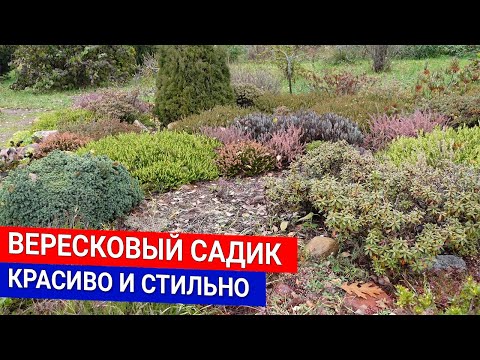 Видео: Вересковый садик - красиво и стильно