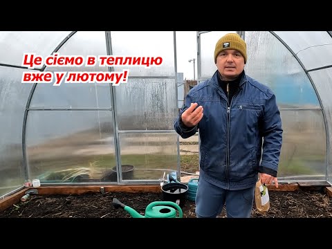Видео: Посійте це в теплицю вже у лютому!
