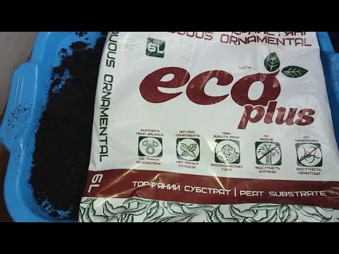 Видео: АДЕНИУМЫ. Субстрат№1. Описание на пакете одно, а в пакете другое