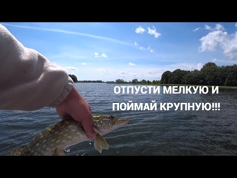Видео: ЩУКА НА СПИННИНГ ! РЫБАЛКА-ПОЙМАЛ ОТПУСТИ!
