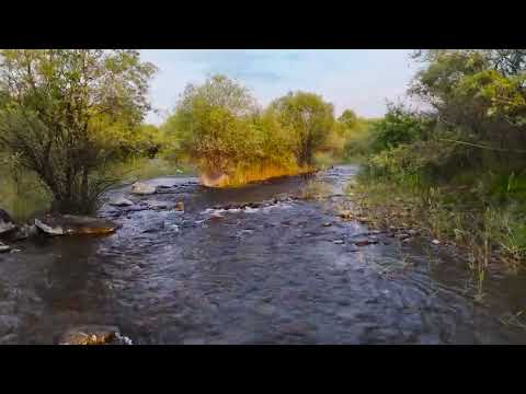 Видео: Сары Камыш Welcome to Sary Kamysh
