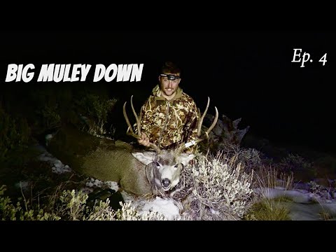 Видео: БЕЗУМНАЯ ОХОТА НА ОЛЕНЯ-МУЛА | ОХОТА НА ОЛЕНЯ-МУЛА В ВЫСОКОГОРЬЕ | ЭПИЗОД 4