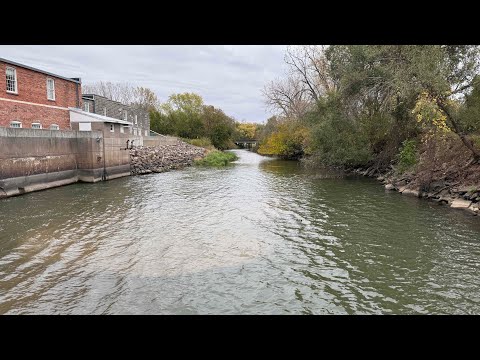 Видео: Эта плотина в Айове была просто ЗАГРУЖЕНА!! (ТАК МНОГО РЫБЫ!)