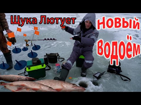 Видео: Клев Щуки на Жерлицы Зимой на Бесплатном Пруду открытие сезона #рыбалка #рыбалка2025