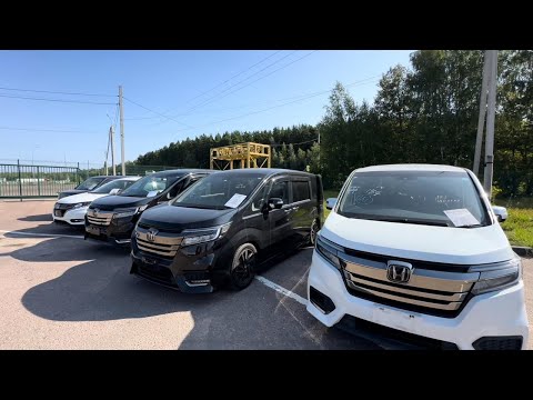 Видео: Получаем заказные авто HONDA STEP WAGON N WGN VEZEL с аукционов Японии в Москве